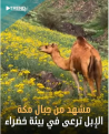 اضغط على الصورة لعرض أكبر.&nbsp;

الإسم:	30-01-2023 00-50-48.png&nbsp;
مشاهدات:	286&nbsp;
الحجم:	269.7 كيلوبايت&nbsp;
الهوية:	787301