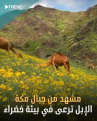 اضغط على الصورة لعرض أكبر.&nbsp;

الإسم:	30-01-2023 00-51-29.png&nbsp;
مشاهدات:	288&nbsp;
الحجم:	244.1 كيلوبايت&nbsp;
الهوية:	787302