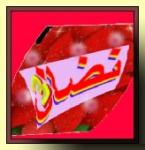 ������ ������� ���� 3